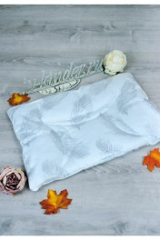 Крупное перо на белом