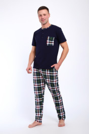 бело-зелёный