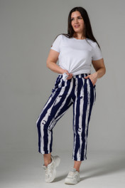 полоса зебра