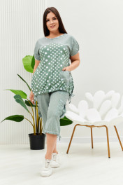 полоса горох хаки