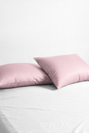 дымчатая роза