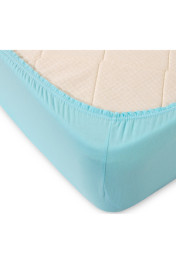 голубая ель