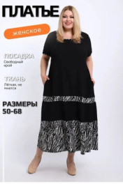зебра