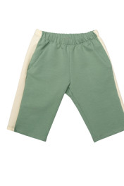 фисташковый