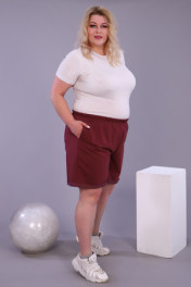 брусничный