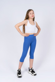 васильковый