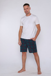 зеленая клетка