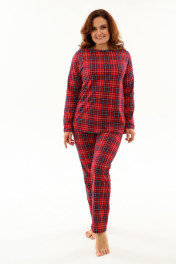 красная клетка