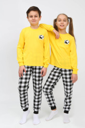 желтый/черная клетка