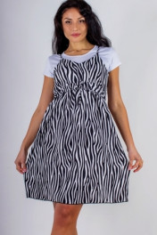 Черно-белый зебра