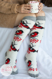 снегири,серый