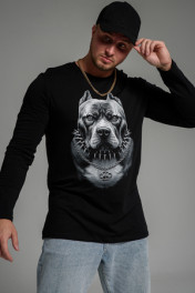 черный+питбуль