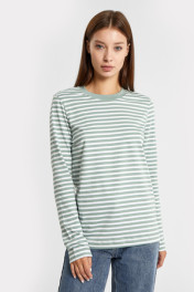 Шалфей полоска