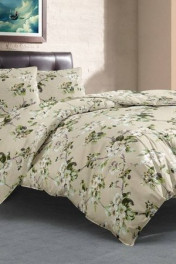 яблоня оливковый