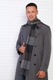 серая клетка