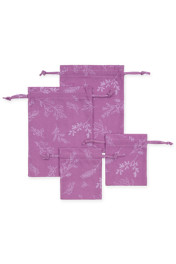 Ботаника сирень