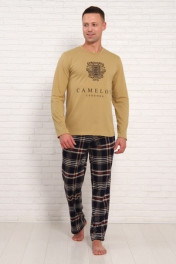 коричневый