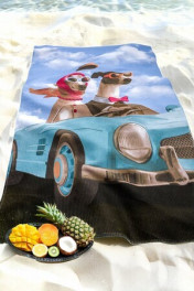 собаки+голубой