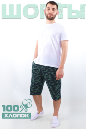 соты.зеленый