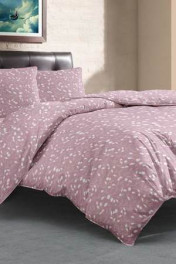 цикорий розовый