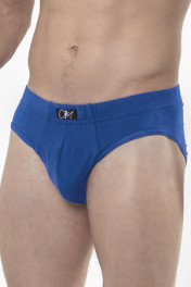 васильковый