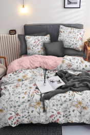 белоземельный