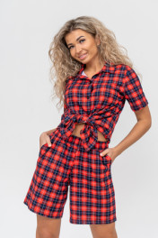 красная клетка