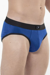 васильковый