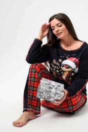 змея+подарок