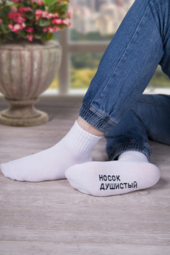 Носки стандарт Удача (набор 3 пары)