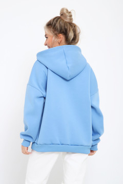 Толстовка 21036