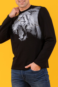 Свитшот 57039 с длинным рукавом