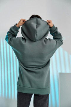 Толстовка 67090