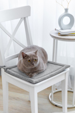 Подушка для мебели для стула Волшебная Ночь 40/40