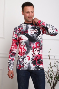 1121 Свитшот мужской