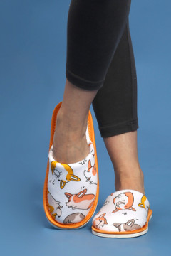 Тапочки домашние С-6ЖМ-МР