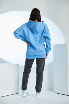 Толстовка 67090