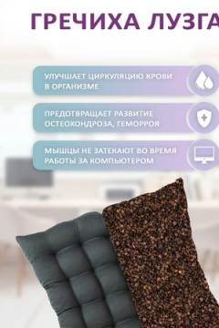 Подушка для мебели Bio-Line KSG с гречневой лузгой