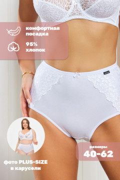 Трусы HoneyFormat 3959 большие размеры, высокая талия
