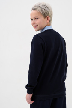 Обманка школа длинный рукав