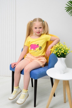 Детские носки стандарт Зефир (набор 3 пары)