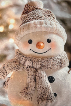 Наволочка декоративная 2 шт 3D эффект Снеговик и Гном