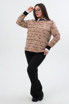 Свитшот СЖ014