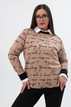 Свитшот СЖ014