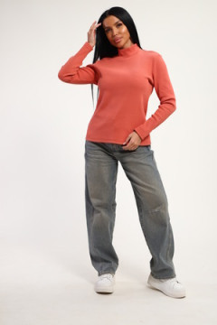 Водолазка 74721