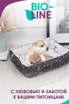 Лежанка для кошек и собак 50×40 LDZ, полиэфирное волокно, хлопок, бязь, износостойкая, Bio-Line