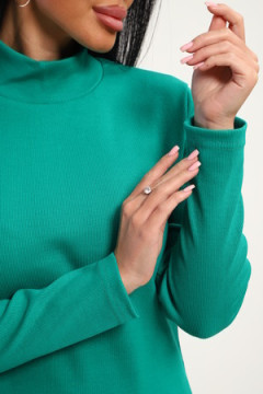 Водолазка 74721