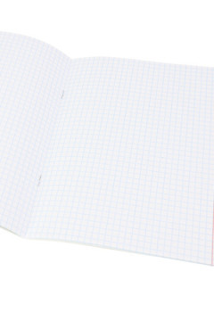 Тетрадь КЛЕТКА 48л. ФИЗИКА «МАНГА» (Т48-1497) стандарт, твин-лак