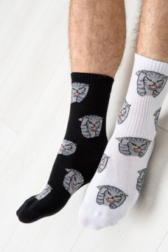 Носки стандарт Драматик кот