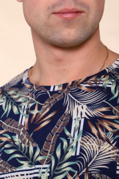 2217 Футболка мужская Папоротник